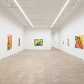 Judith Linhares, The river is moving, the blackbird must be flying, exhibition view. Courtesy of P·P·O·W 