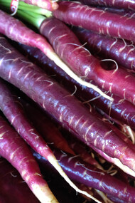 Purple Carrot