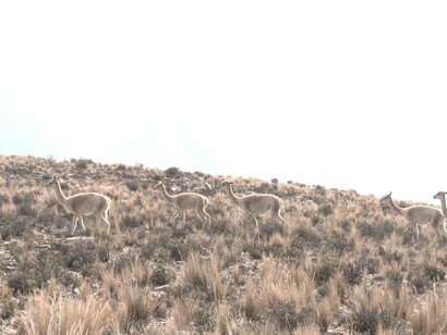Las riquezas naturales de Argentina son interminables