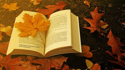 L'amore per la letteratura