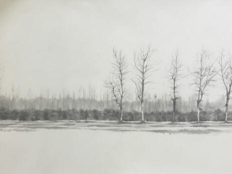 Landscaping. Courtesy of Pékin Fine Arts