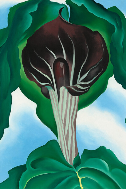 Georgia O’Keeffe. Courtesy of Norton Museum of Art