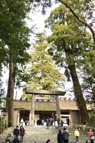 Ise Jingu Outer Shrine, main sanctuary © Alma Reyes
