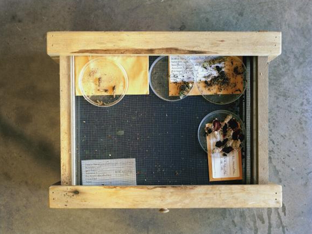 Dornith Doherty. Courtesy of Amon Carter Museum of American Art