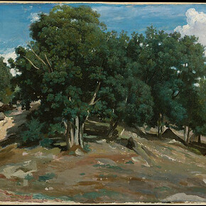 Public Parks, Private Gardens. Courtesy of Metropolitan Museum of Art