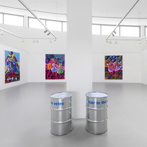 Lubomír Typlt, I came back, though we did not miss each other, exhibition view. Courtesy of Danubiana