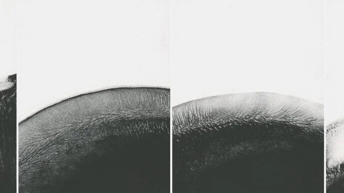 Nicole Phungrasamee Fein, ioIV (detail), 2018. Courtesy of Nancy Hoffman Gallery