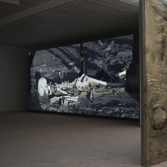 Pierre Huyghe, exhibition view. Courtesy of Fondation Beyeler