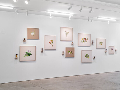 Tiffany Chung, traces, exhibition view. Courtesy of Ryan Lee Gallery