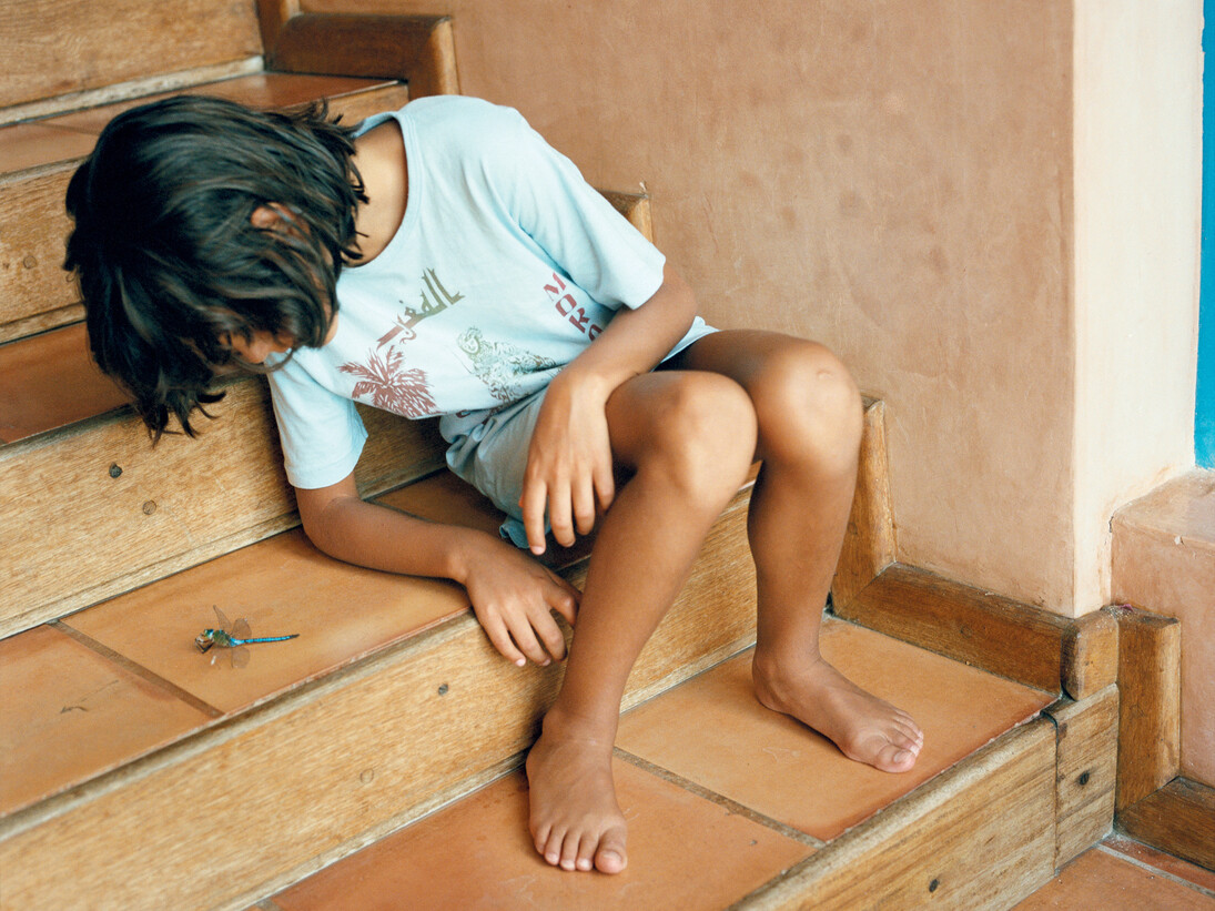 Yto Barrada, Blue Dragonfly (Aeshna Cyanea), 2009/2011, Fotografia cromogènica, Dimensions: 125 x 125 cm. Cortesia de l’artista i de la Galeria Sfeir-Semler, Beirut/Hamburg

