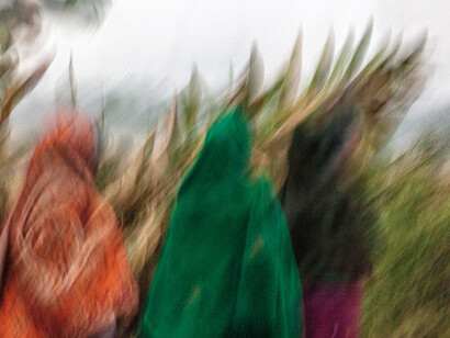 Paolo Sollazzo. Courtesy of Gallerja