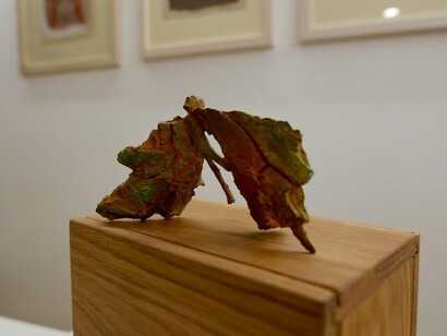 Shooting Clouds II, 9/21, Alexander Polzin, Bronze