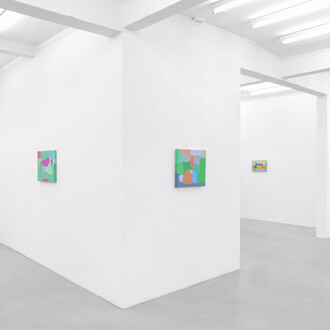 Federico Herrero, Caimitos, exhibition view. Courtesy of Sies + Höke Galerie