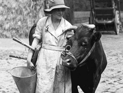 A woman pupil at the Cheshire Agricultural College at Holmes Chapel being taught how to handle cattle during a course on all aspects of animal husbandry, © IWM