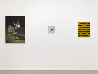 Youcef Korichi, Alidade de nuit, vue d'exposition. Avec l'aimable autorisation de Suzanne Tarasieve