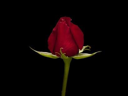 We set physical, emotional and mental limits in our relationships