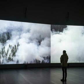 Eija-Liisa Ahtila, Reflection of a forest, exhibition view. Courtesy of Serlachius Museum