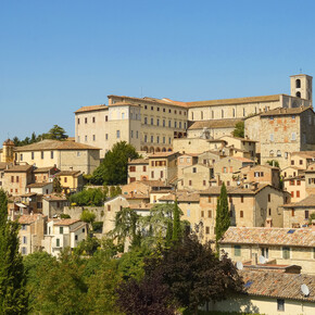Todi
