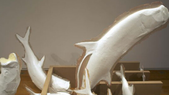 Occupy Colby. Courtesy of Colby College Museum of Art
