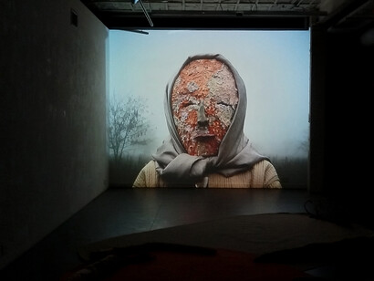 Marina Daiez, Ontogenia plantihumana, vista de exhibición. Cortesía de la Galería Nora Fisch