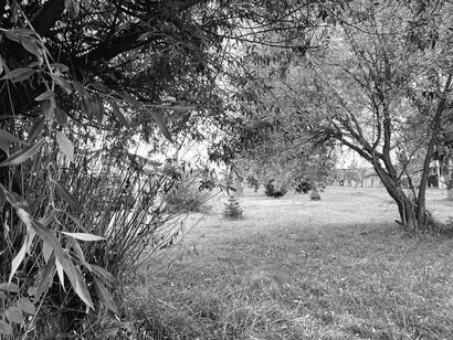 Using the back-kick technique of childhood to chase a pink and red sky. For a few seconds, the city grind doesn't touch the ground © Photo by John Macanas