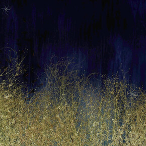 Mayme Kratz, Dark garden 19 (detail), 2025. Courtesy of Gilman Contemporary