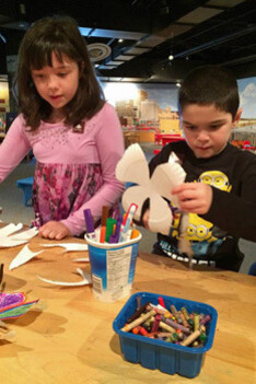 Discovery Gallery. Courtesy of New Brunswick Museum