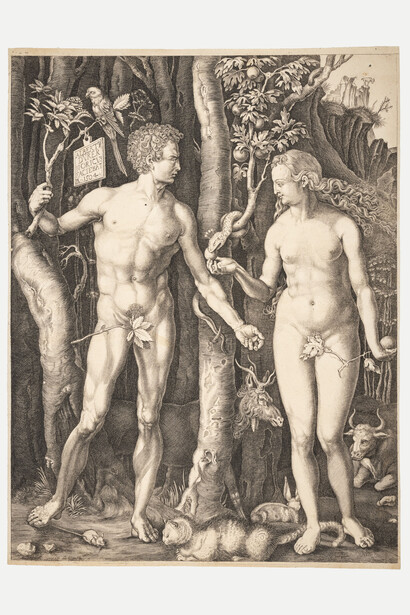 Albrecht Durer, Adam and Eve print, 2023. Courtesy of Royal Albert Memorial Museum