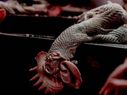 Se cree que el coronavirus surgió en un mercado húmedo de China