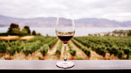 L’eccellenza del vino italiano