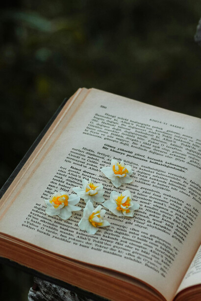Pequeñas flores blancas y amarillas posan sobre un libro
