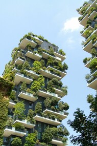 Arquitectura Sustentável