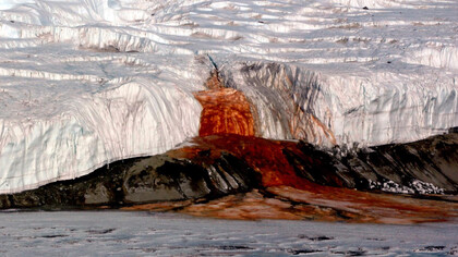  Cataratas de Sangre de la Antártida