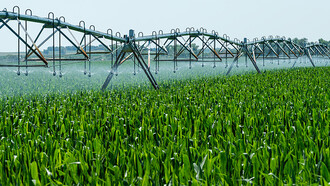 Plantação de soja. O assunto organismos geneticamente modificados (OGM) já não está mais tão presente nas discussões sobre segurança alimentar