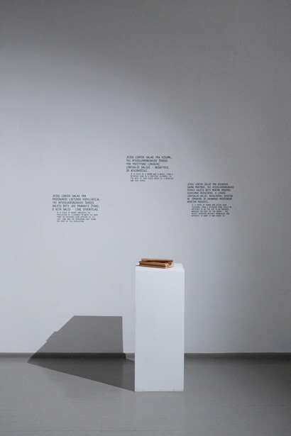 An Unfinished Project, installation view. Courtesy of Galerija Vartai