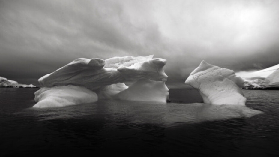 Sebastian Copeland. Courtesy of Bernheimer Fine Art 