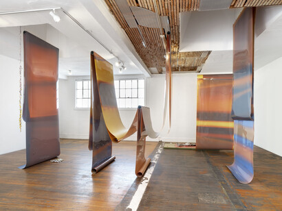 Lotus L. Kang, Azaleas, exhibition view. Courtesy of Commonwealth and Council Gallery