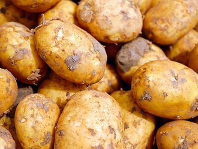 The Potato’s Story  