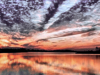 En el silencio hablamos el idioma del todo