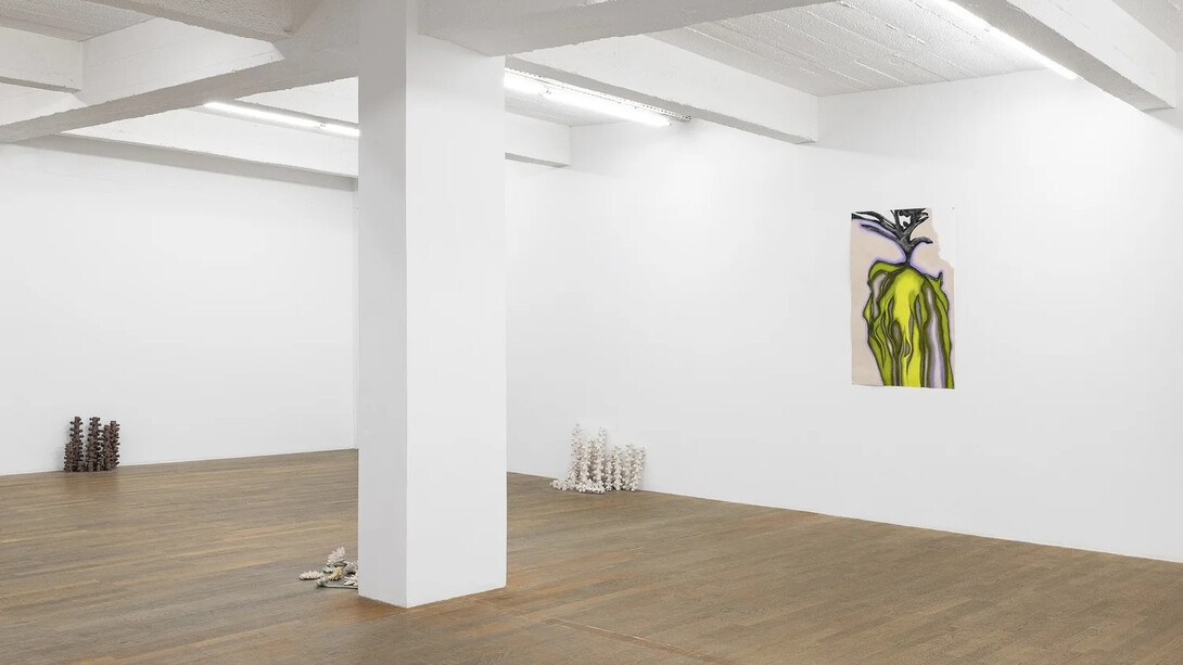Frédérique Lucien, Pensées vagabondes, vue d'exposition. Avec l'aimable autorisation de la Galerie Backslash