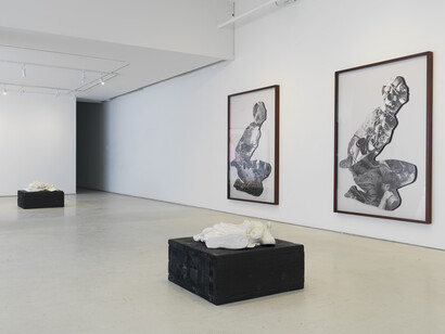 Reza Aramesh, Installation view at Leila Heller Gallery. Photo by Brian Buckley