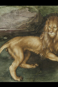 Albrecht Dürer, A Lion, 1494, Gouache on parchment, heightened with gold, 12,6 x 17,2 cm, Kupferstichkabinett, Hamburger Kunsthalle © Photo Scala