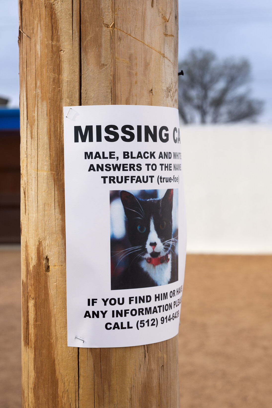 Teresa Hubbard / Alexander Birchler, Installation View, Missing Truffaut 2014, Wooden pole, electric light, laser print on paper, 25 x 4 x 2 feet, Courtesy of Lora Reynolds Gallery, Austin. Photo Credit: Frederik Nilsen