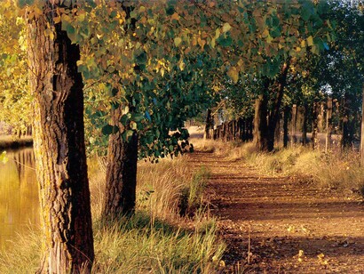 Tramo del Camino de Santiago