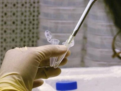 Analisi di laboratorio