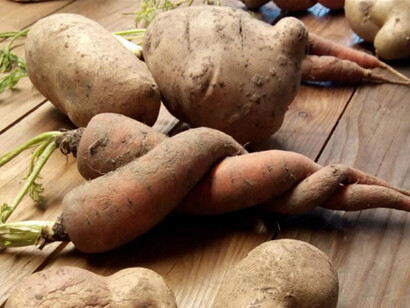 Ugly carrots and potatoes