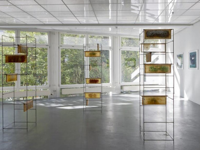 Beehave. Courtesy of Kunsthaus Baselland