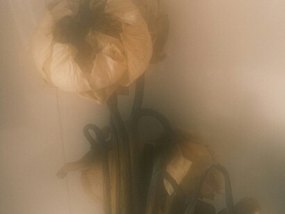 Adottare il Kiyomeru nella vita quotidiana aiuta a sviluppare gratitudine per gli oggetti e gli spazi che ci circondano, trasformando una semplice faccenda domestica in un rituale di cura e attenzione