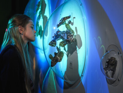 Maria the Sturgeon’s dream, exhibition view. Courtesy of Estonian Natural History Museum