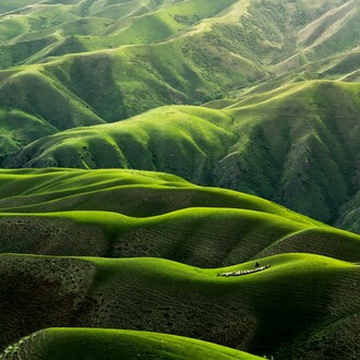 Naturaleza